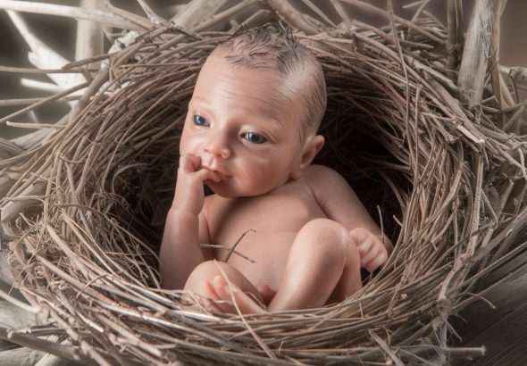 seo-img-1761572545-9528f0ea2e6f13c8